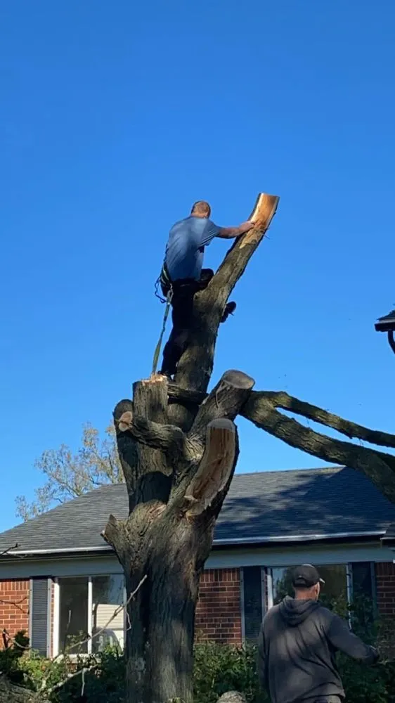 Custom garden landscaping for residential properties across Milford, MI - Shepps Tree & Outdoor Svc