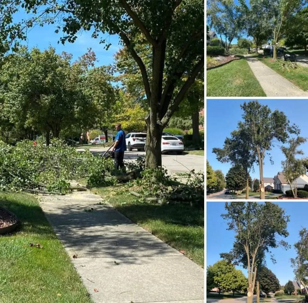 Local lawn mowing service experts serving Milford, MI - Shepps Tree & Outdoor Svc