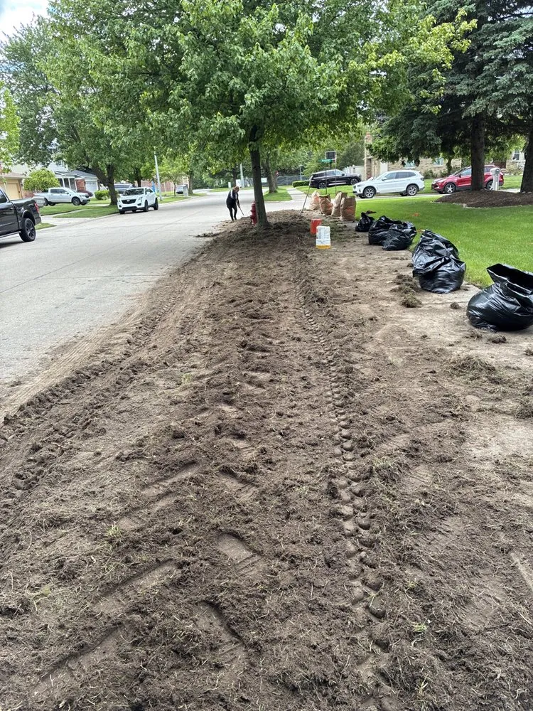 Local lawn care service experts serving Milford, MI - Shepps Tree & Outdoor Svc