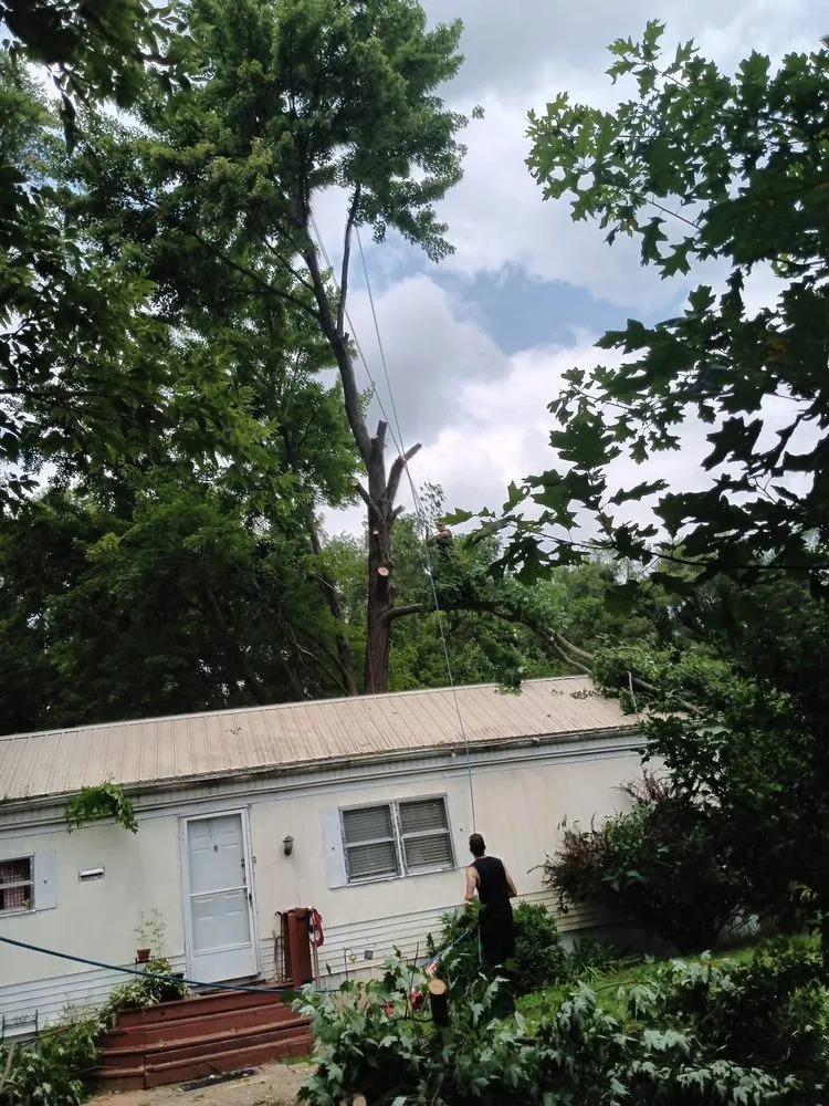 Local outdoor landscaping in Milford, MI by Shepps Tree & Outdoor Svc