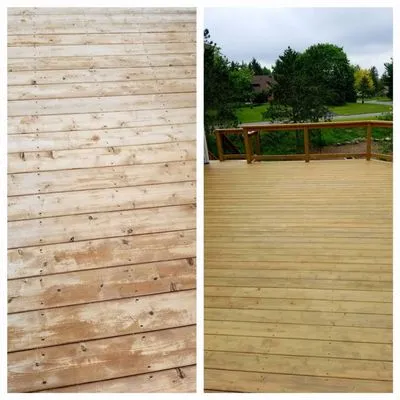 Shepps Tree & Outdoor Svc