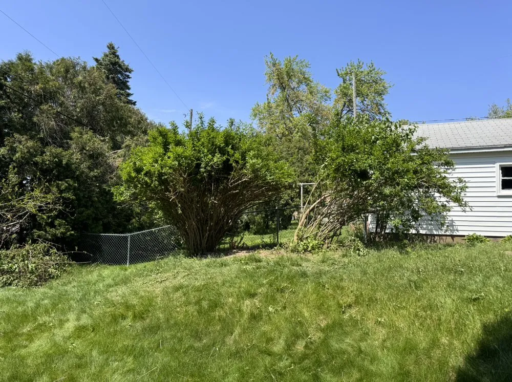 Custom lawn mowing service in Grand Rapids, MI - Sherbin & Associates