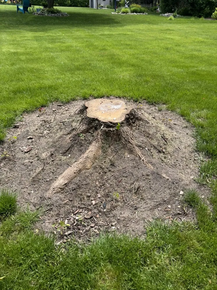 Trusted yard maintenance with custom design across Grand Rapids, MI - Sherbin & Associates