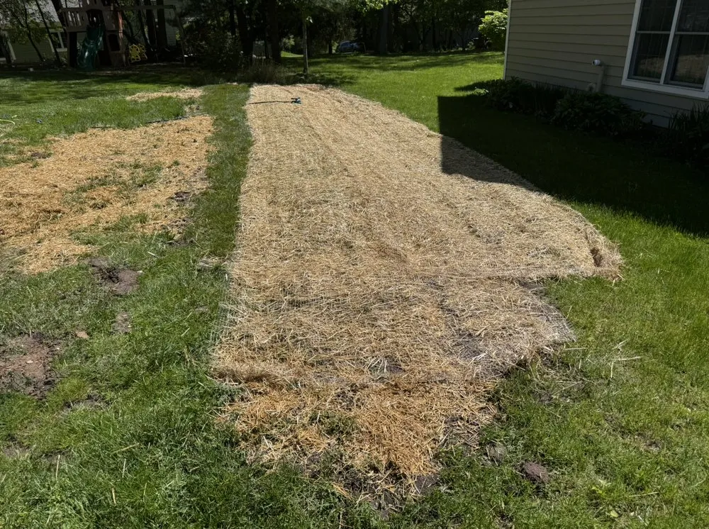 Top-rated lawn mowing service in Grand Rapids, MI - Sherbin & Associates