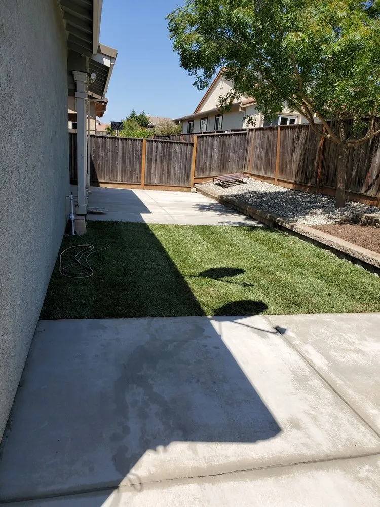 Trusted yard cleanup service for outdoor upgrades in American Canyon, CA by Shergill's Landscape