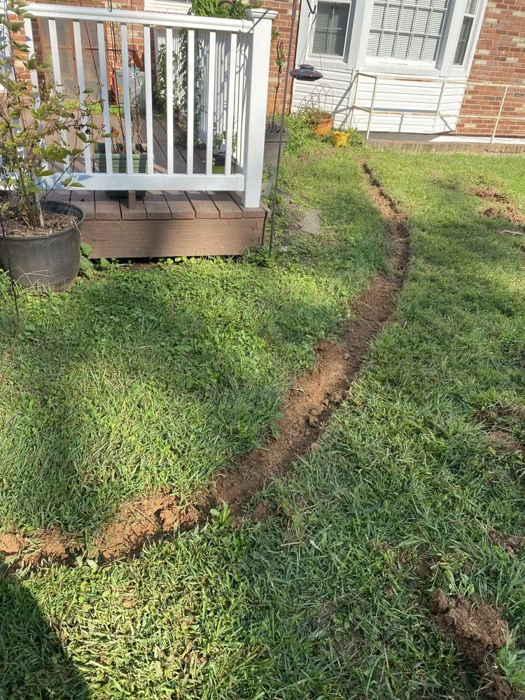 Local yard cleanup service with custom design across Damascus, MD - Sheridan Gardens