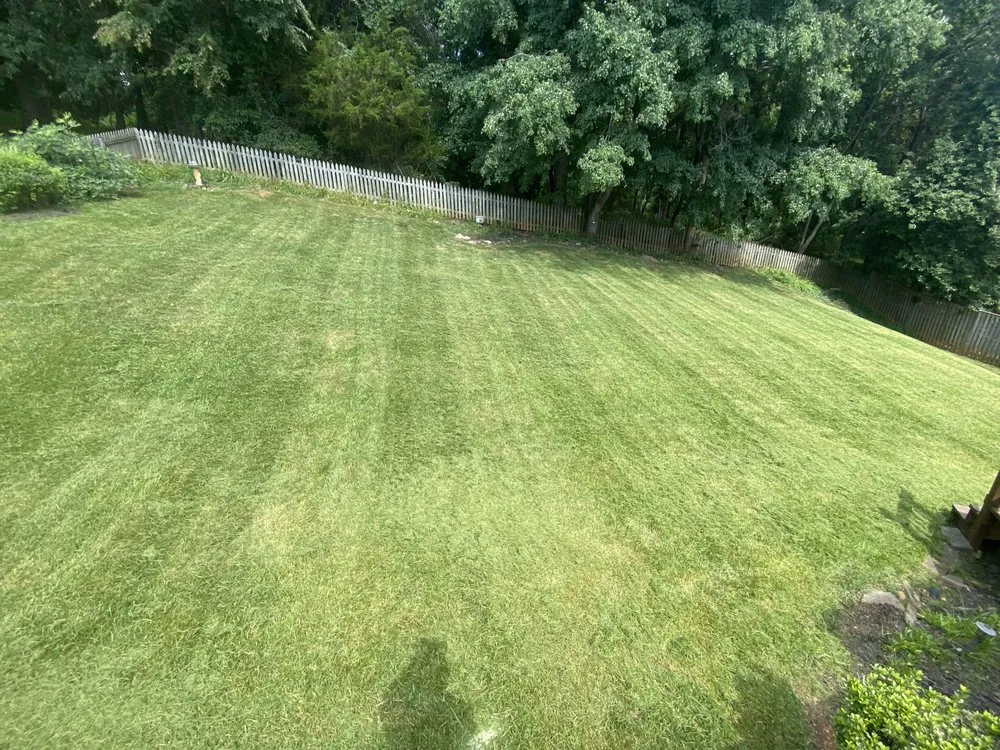 Top-rated yard maintenance experts serving Damascus, MD - Sheridan Gardens