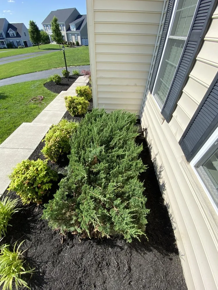 Expert landscape design in Damascus, MD by Sheridan Gardens