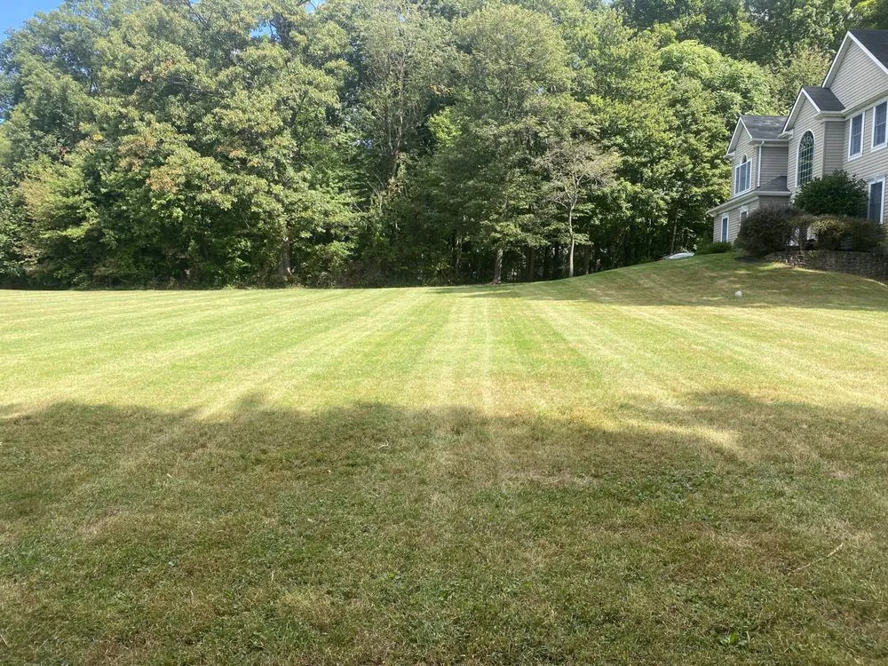 Local residential landscaping for residential properties in Damascus, MD by Sheridan Gardens