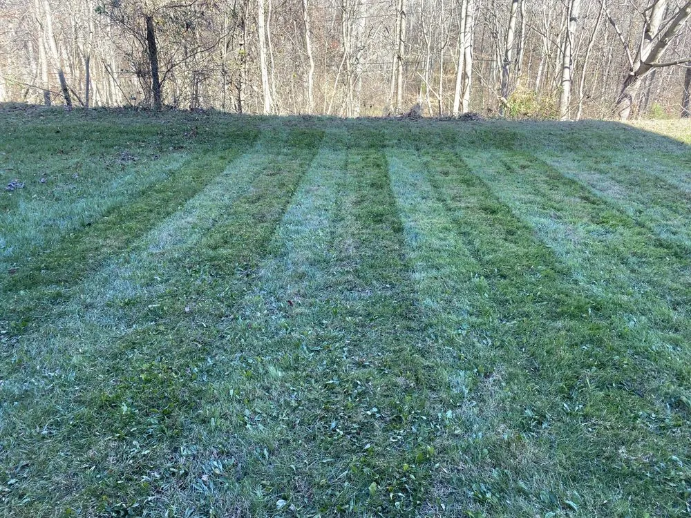 Expert yard maintenance in Damascus, MD by Sheridan Gardens