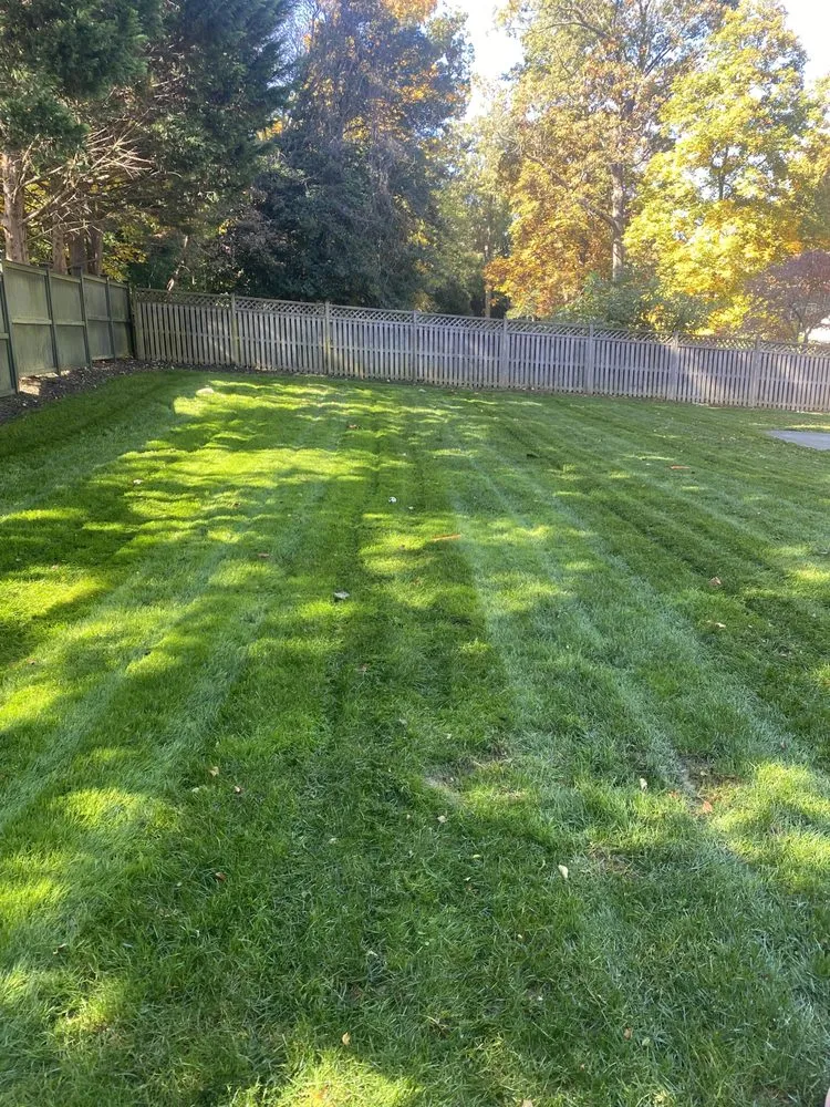 Professional landscaping services in Damascus, MD - Sheridan Gardens