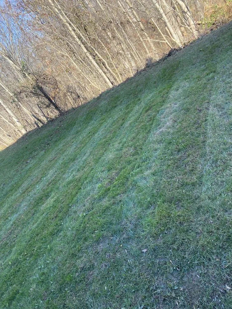 Trusted residential landscaping in Damascus, MD by Sheridan Gardens