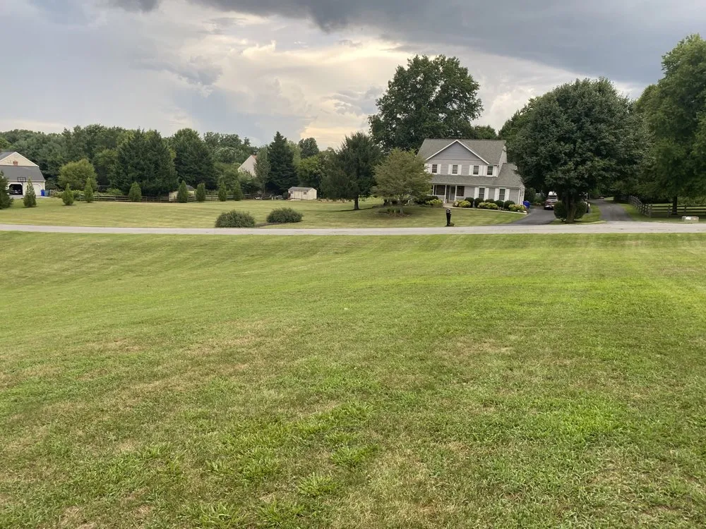 Affordable yard maintenance for year-round maintenance in Damascus, MD by Sheridan Gardens