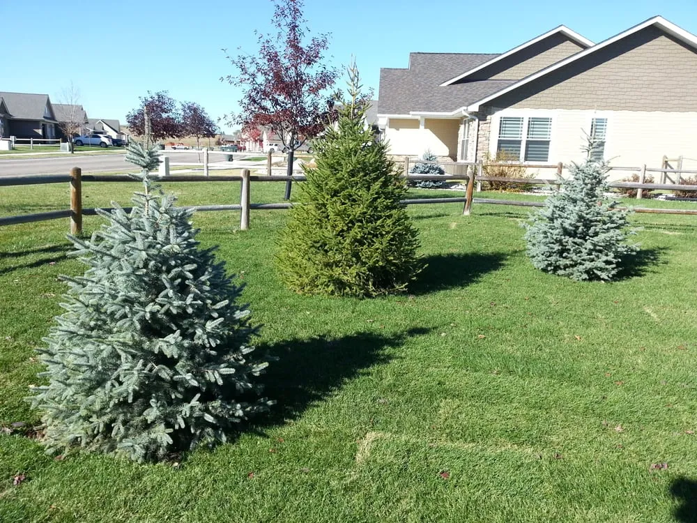 Expert yard cleanup service near you across Sheridan, WY - Sheridan Lawn & Landscaping
