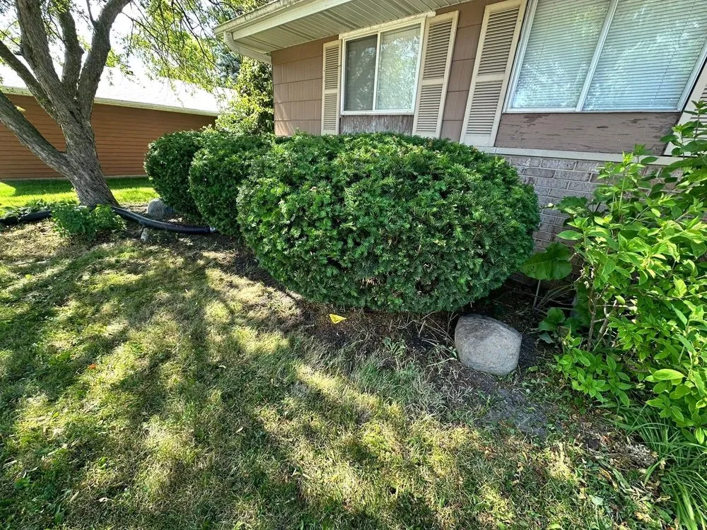 Custom garden landscaping for beautiful yards across Kenosha, WI - Sheridan Scenery