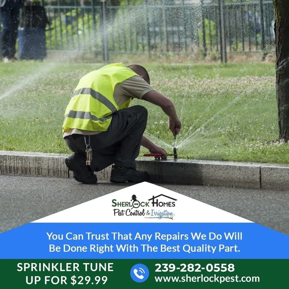 Local landscape installation for year-round maintenance across Cape Coral, FL - Sherlock Homes Pest Control & Irrigation