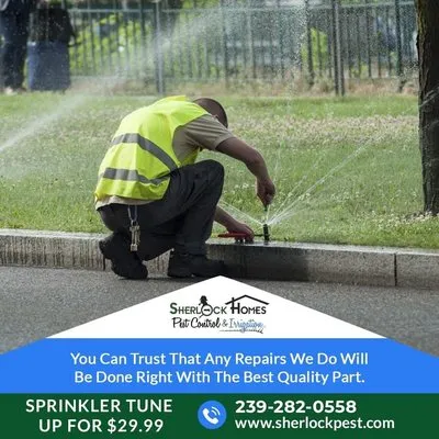 Sherlock Homes Pest Control & Irrigation Logo