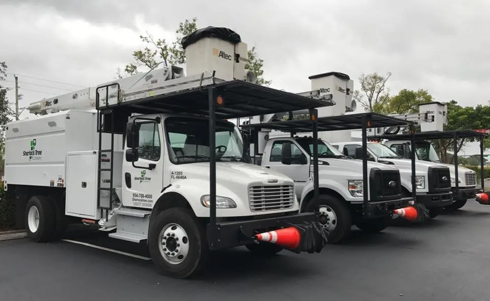 Affordable lawn mowing service in Delray Beach, FL - Sherlock Tree Company