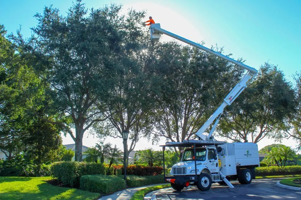 Top-rated lawn mowing service experts serving Delray Beach, FL - Sherlock Tree Company