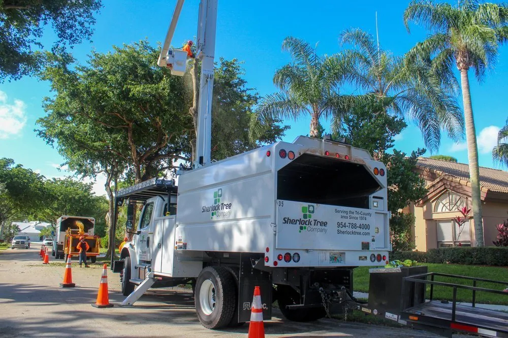 Expert landscaping services with custom design across Delray Beach, FL - Sherlock Tree Company