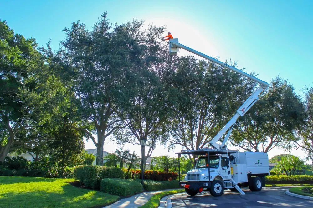 Custom yard maintenance in Delray Beach, FL by Sherlock Tree Company