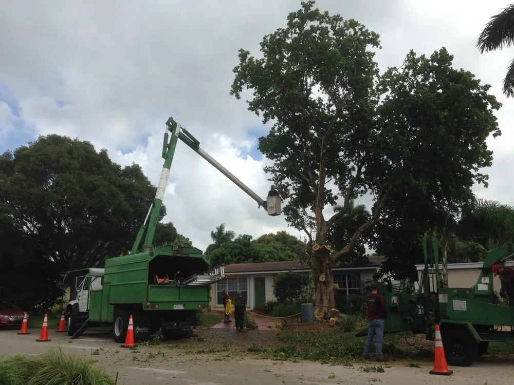 Reliable landscape installation experts serving Delray Beach, FL - Sherlock Tree Company