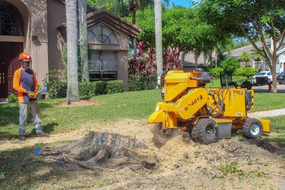 Expert landscape installation for beautiful yards in Delray Beach, FL by Sherlock Tree Company