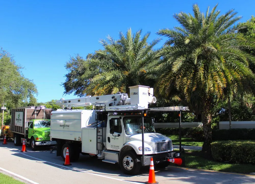 Trusted landscape design for homes in Delray Beach, FL by Sherlock Tree Company