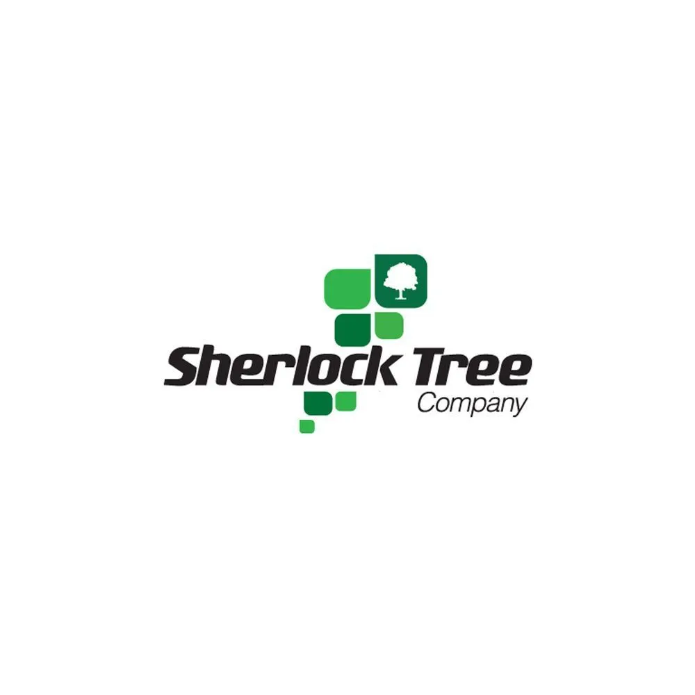 Reliable lawn care service for homes in Delray Beach, FL by Sherlock Tree Company