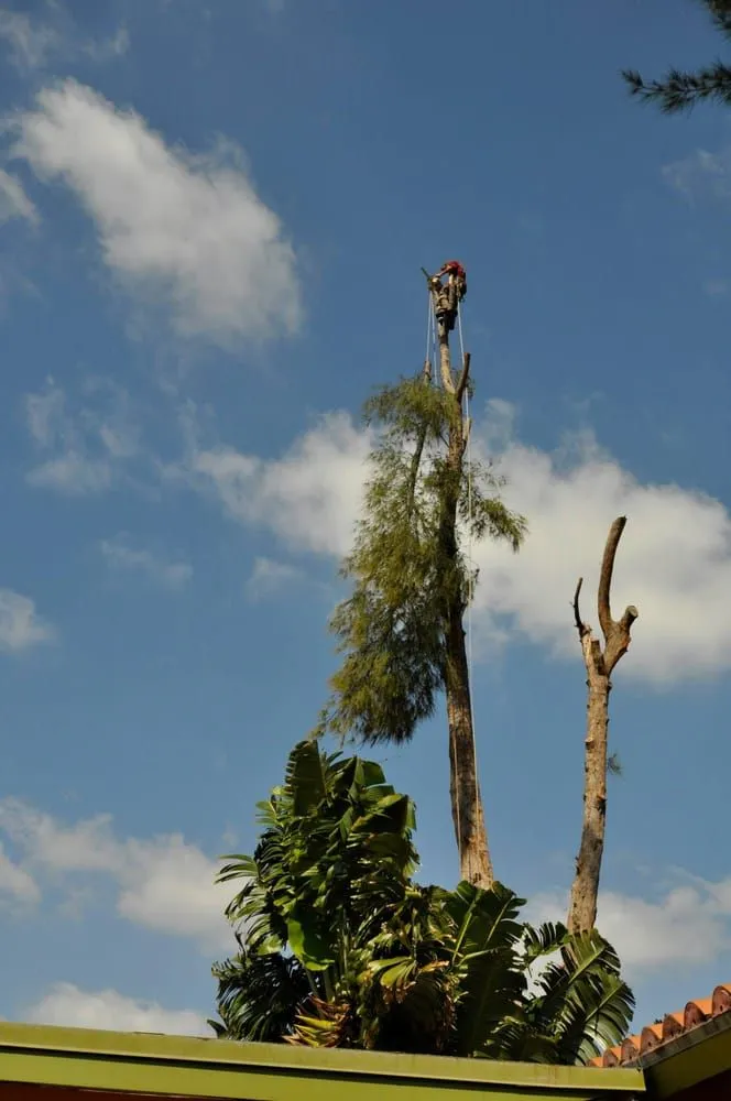 Professional lawn care service for year-round maintenance across Greenacres, FL - Sherlock Tree Company