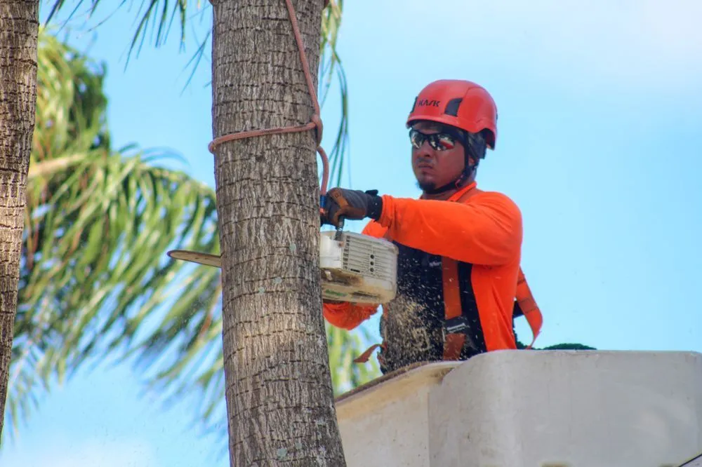 Custom landscaping services for year-round maintenance across Greenacres, FL - Sherlock Tree Company