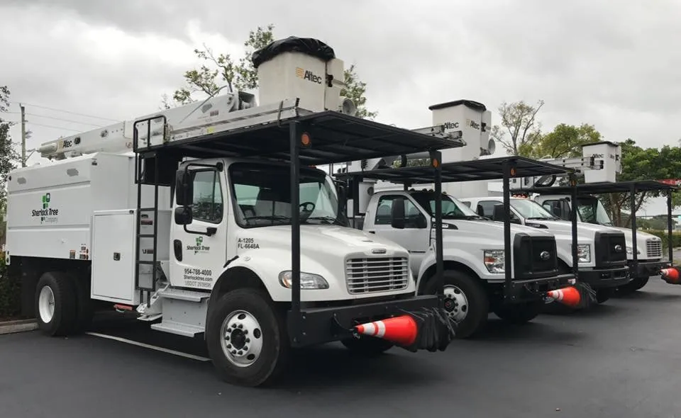 Professional yard maintenance in Greenacres, FL by Sherlock Tree Company