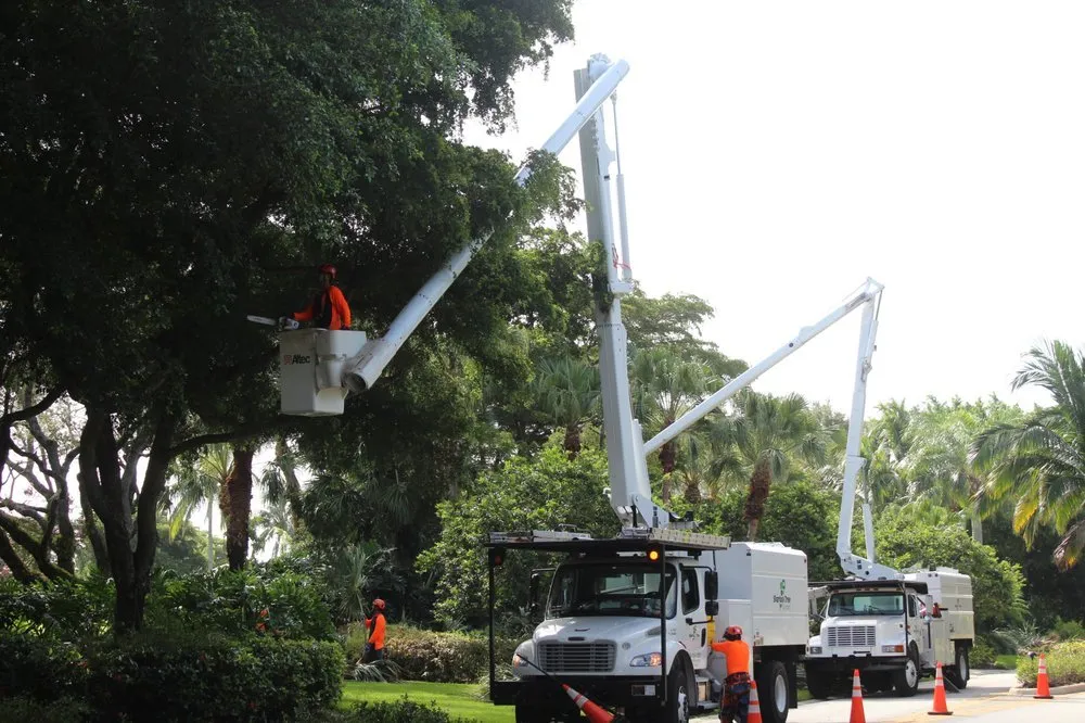 Expert garden landscaping experts serving Greenacres, FL - Sherlock Tree Company