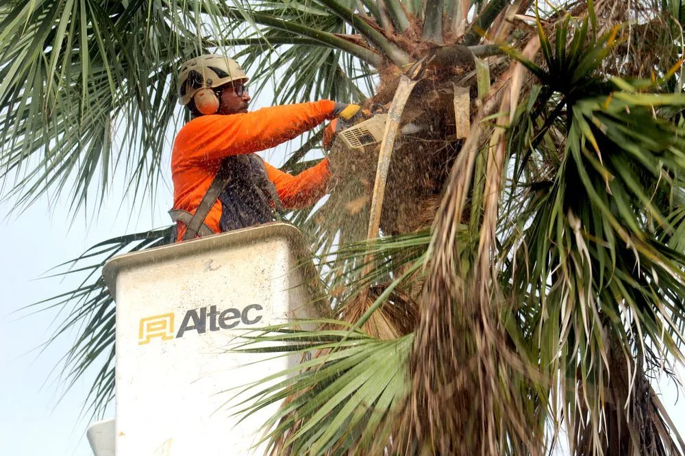 Reliable lawn mowing service in Greenacres, FL - Sherlock Tree Company