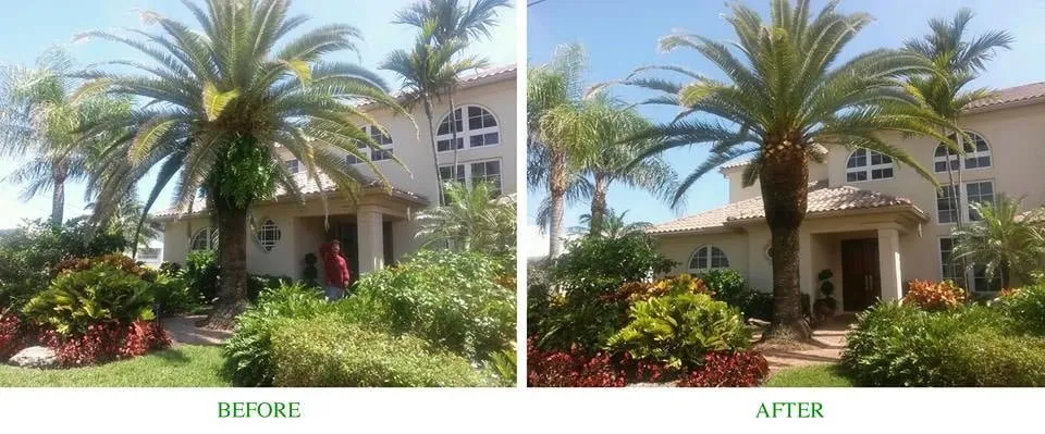 Affordable yard cleanup service in Greenacres, FL by Sherlock Tree Company