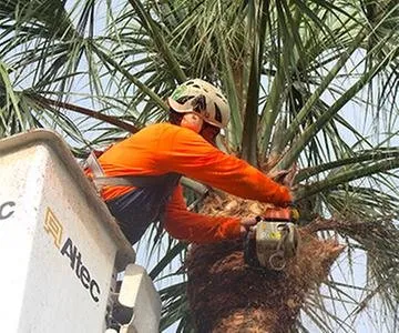 Top-rated garden landscaping experts serving Pompano Beach, FL - Sherlock Tree Company