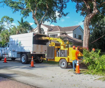 Top-rated yard maintenance experts serving Pompano Beach, FL - Sherlock Tree Company