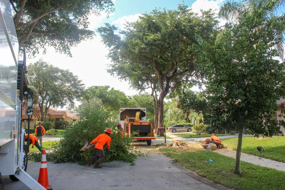Custom landscaping services in Pompano Beach, FL - Sherlock Tree Company