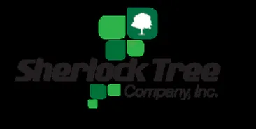Affordable lawn care service for outdoor upgrades across Pompano Beach, FL - Sherlock Tree Company