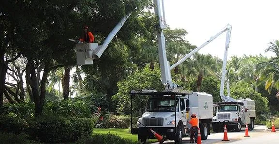Affordable yard cleanup service in Pompano Beach, FL by Sherlock Tree Company