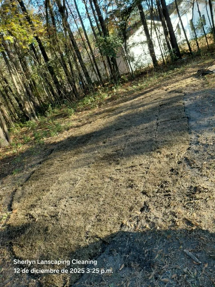 Local lawn care service for homes in Wilmington, NC by Sherlyn landscaping & cleaning Services LLC