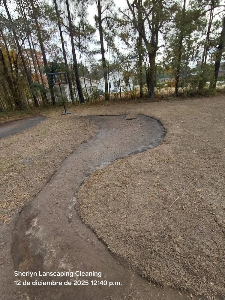 Local yard cleanup service in Wilmington, NC by Sherlyn landscaping & cleaning Services LLC