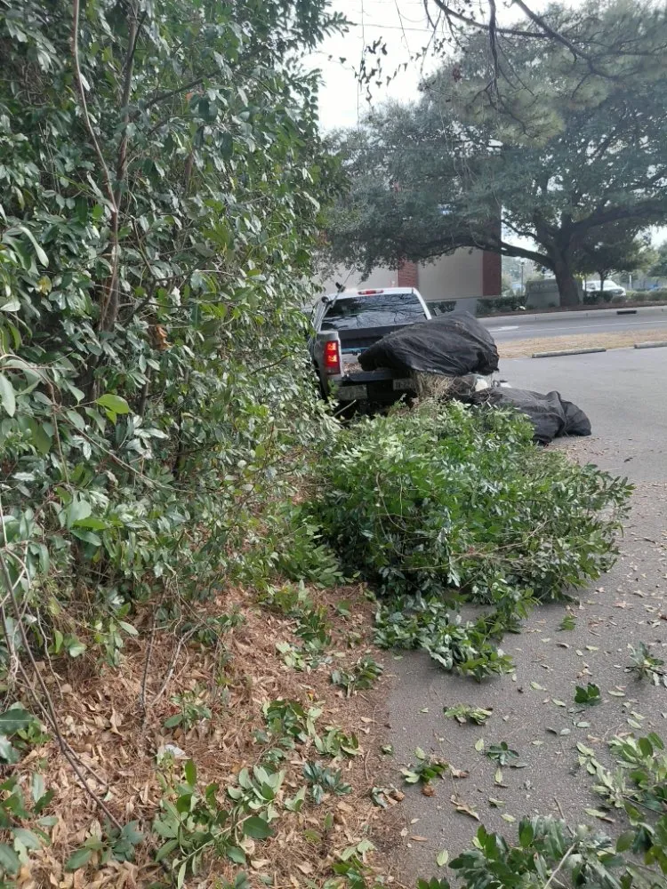 Expert landscaping services in Wilmington, NC by Sherlyn landscaping & cleaning Services LLC