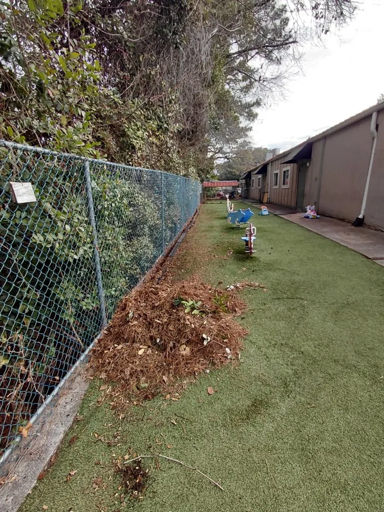 Trusted garden landscaping in Wilmington, NC by Sherlyn landscaping & cleaning Services LLC