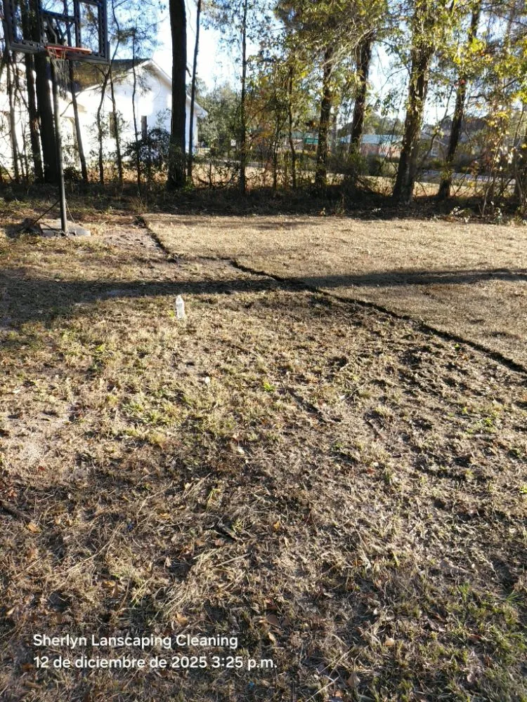 Professional yard maintenance in Wilmington, NC by Sherlyn landscaping & cleaning Services LLC