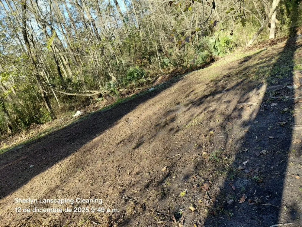 Top-rated lawn care service in Wilmington, NC - Sherlyn landscaping & cleaning Services LLC