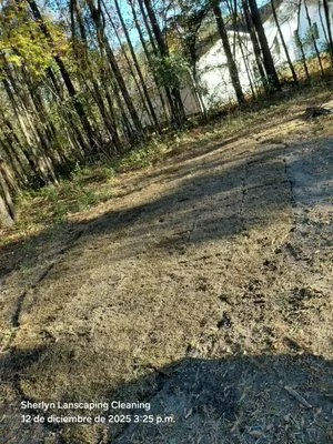 Sherlyn landscaping & cleaning Services LLC Logo