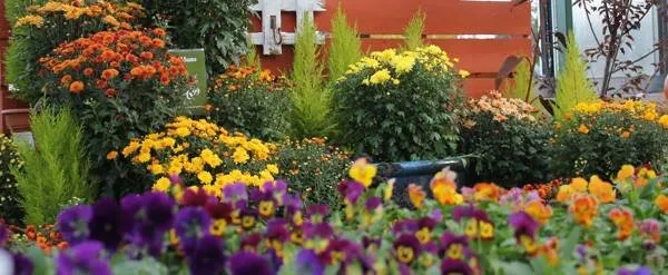 Local lawn mowing service in Columbus, MI - Sherman Nursery Farms