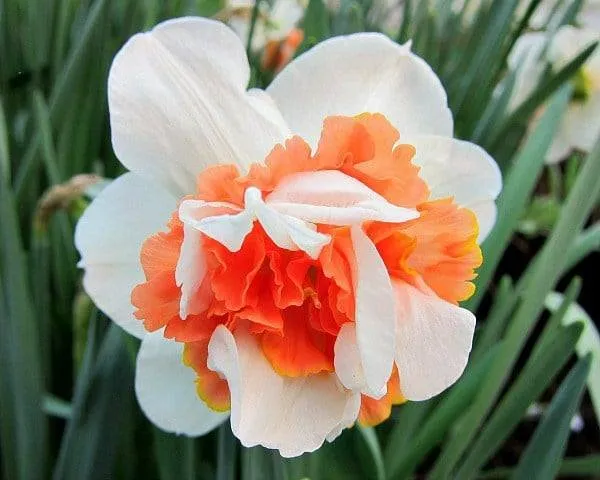 Reliable lawn care service in Columbus, MI - Sherman Nursery Farms