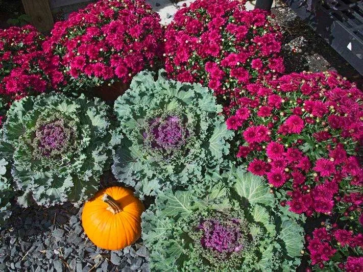 Expert lawn care service for year-round maintenance in Columbus, MI by Sherman Nursery Farms